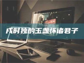 南安戌时独酌玉盏怀诸君子