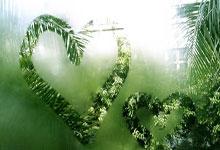 天涯论坛杂谈社区：网友们的吐槽和分享天堂！