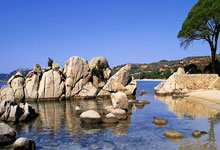 天涯论坛热议海南儋州发展，大家齐心共绘美好蓝图