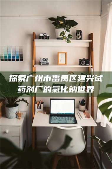 南安探索广州市番禺区建兴试药剂厂的氯化钠世界 第1张