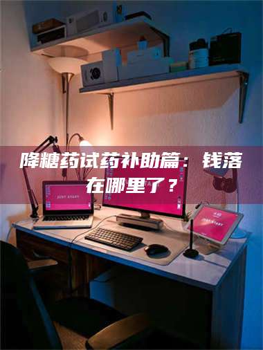 南安降糖药试药补助篇：钱落在哪里了？ 第1张