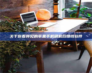 南安关于你看得见的苹果手机刷机后赚钱软件 第1张