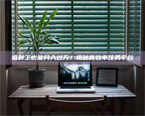 南安临时工也能月入过万？揭秘高效率任务平台 第1张