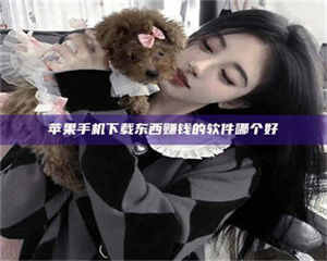 南安苹果手机下载东西赚钱的软件哪个好 第1张