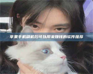 南安苹果手机刷机后可以用来赚钱的软件推荐 第1张